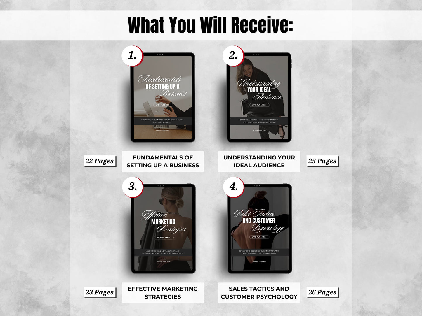 PLR MRR DFY Entrepreneur's Faceless Marketing Playbook – Done-for-You Resell & Private Label Ebook