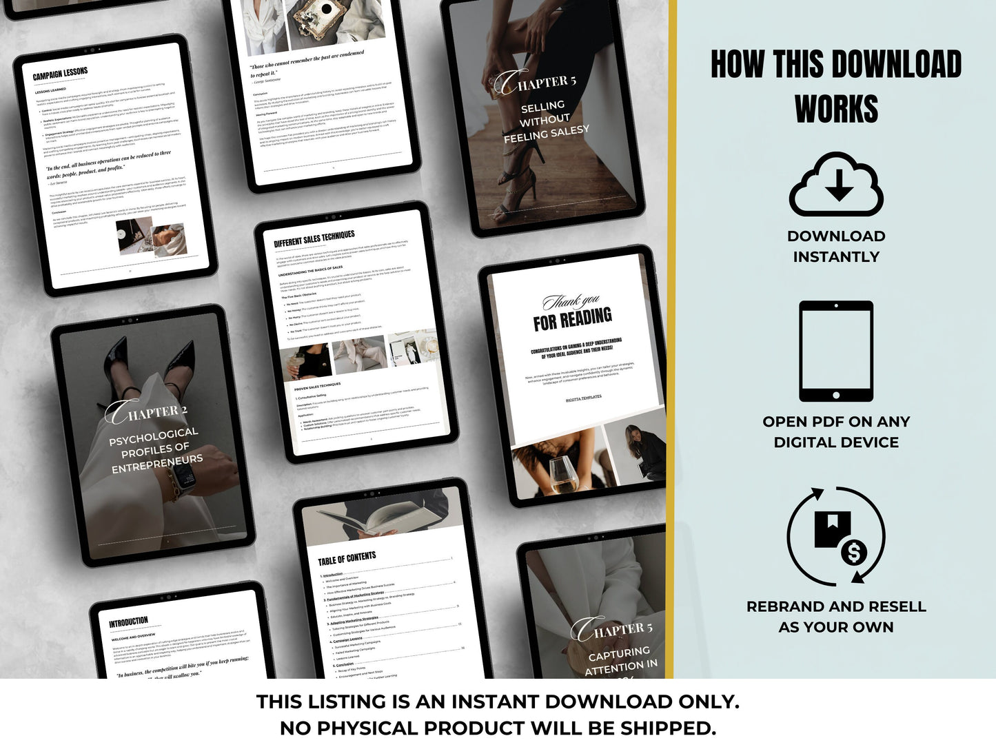 PLR MRR DFY Entrepreneur's Faceless Marketing Playbook – Done-for-You Resell & Private Label Ebook