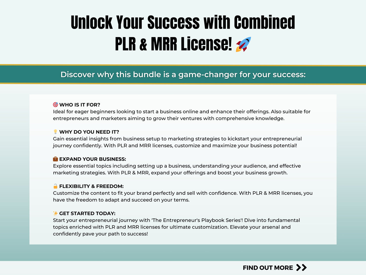 PLR MRR DFY Entrepreneur's Faceless Marketing Playbook – Done-for-You Resell & Private Label Ebook