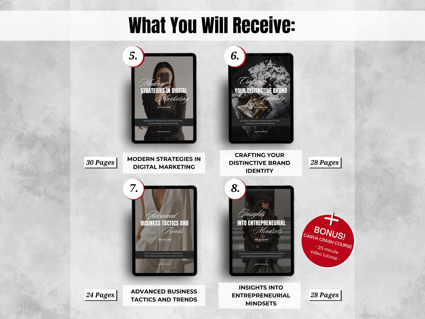 PLR MRR DFY Entrepreneur's Faceless Marketing Playbook – Done-for-You Resell & Private Label Ebook
