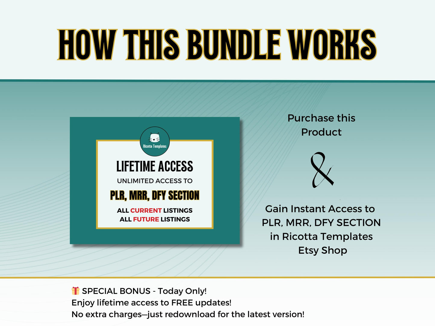 ENTIRE SECTION BUNDLE: Plr, Mrr, Dfy Section - Done for You Canva Editable Templates Private Label, Master Resell Rights, Dfy Products